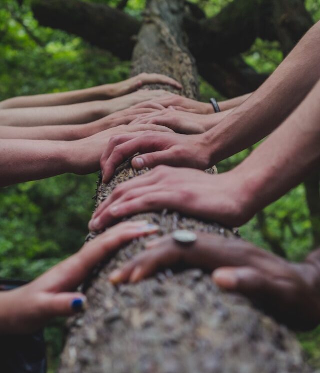 shane-rounce-DNkoNXQti3c-unsplash