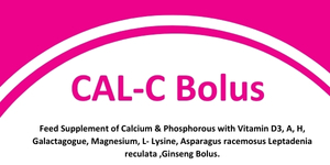 CALC-BOLUS