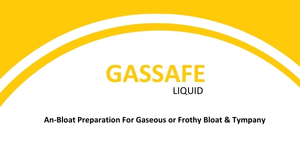 GASSAFE LIQUID