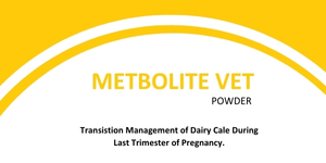 METBOLITE VET POWDER