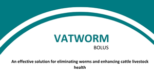 VATWORM BOLUS