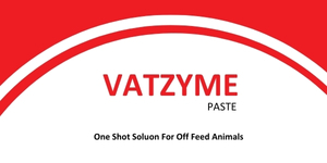 VATZYME PASTE