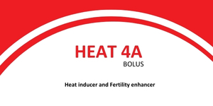 HEAT 4A BOLUS