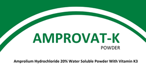 AMPROVAT-K