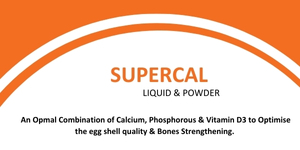 SUPERCAL STRONG LIQUID & POWDER