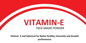 VITAMiN-E-FEED GRADE POWDER