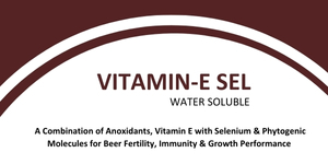 VITAMIN-E-SEL POWDER(WATER SOLUBLE)